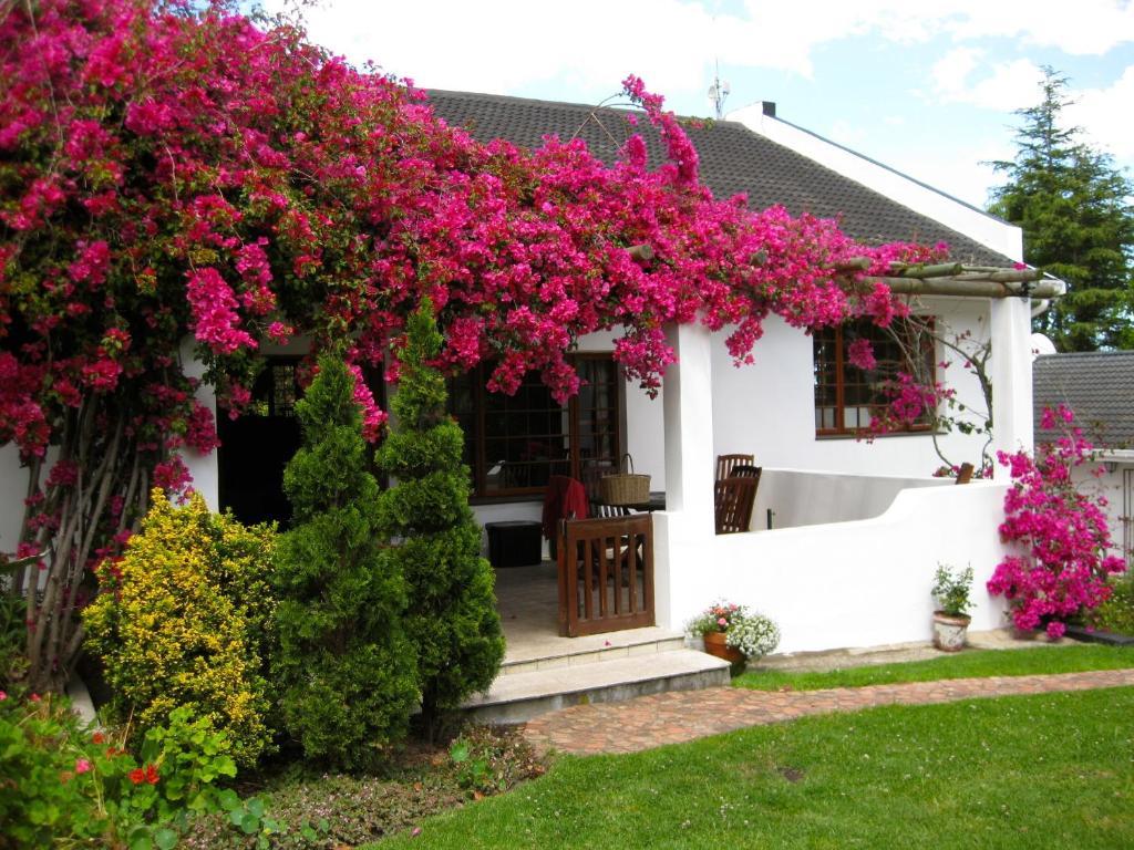 Malvern Manor Country Guest House Джордж Екстер'єр фото